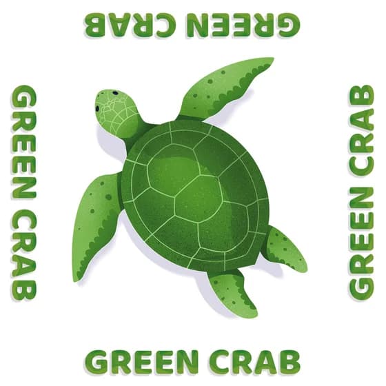 A ReactSee picture card
